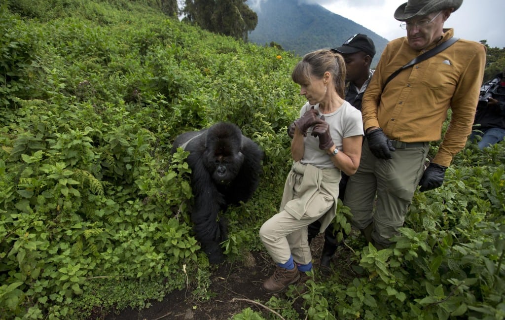 Tips for 7 Days Rwanda gorilla trekking Safari vacation